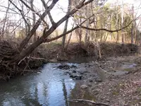 B 2011 1 jan 4th c (5).webp