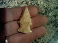 1205101919.webp