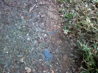 1111101629.webp