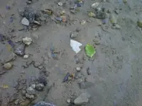 hopewe.webp