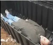 coffin fema.webp