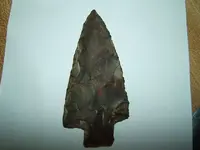 DSCF1363.webp