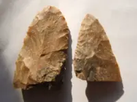 DSCF1357.webp