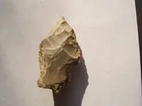 DSCF1359.webp