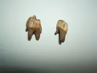 DSCF1399.webp