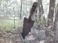 old digger.webp