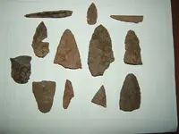 DSCF1406.webp