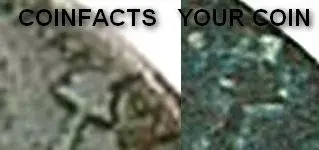 coinfacts comparison of liberty cap.webp