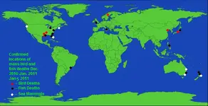 animal_deaths_2011.webp