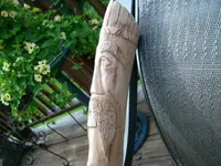 Walking Stick Top.webp