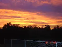 DSC03259.webp