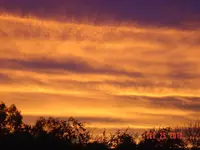 DSC03261.webp