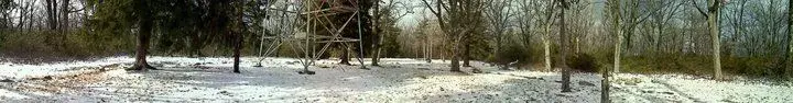 63111_1455154739584_1254795231_1042586_5618481_n.webp