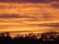 DSC03262.webp