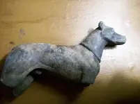 dog.webp