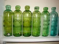 Citron and Lime Green Pacific.webp