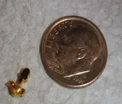Tiny.webp