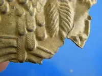 DSCN1260.webp