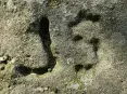 avatar_51696.webp