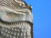 DSCN1264.webp