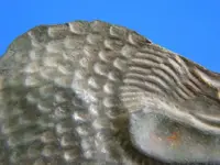 DSCN1265.webp