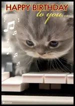 happy birthday kitty.webp