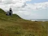 10.webp