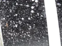 SnowKiddin.webp