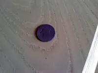 1206001248half cent.webp