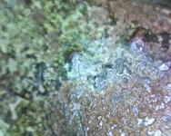 Picture 001.webp