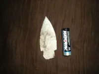 DSCN4495.webp