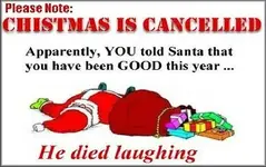 christmas pics.webp