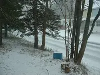 Picture 005.webp