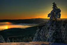 IMG_3220_2__1_.webp