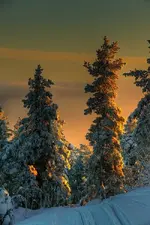 IMG_3218_3__2__1_.webp
