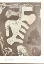 scan0002.webp
