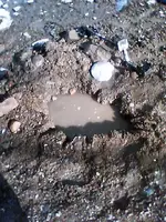 NC FINDS 02-10021.webp