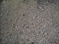 100_8397.webp