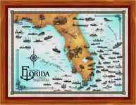 5_Florida_for_web.webp