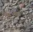 100_8397.webp