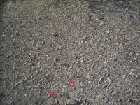 100_8397.webp