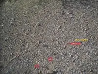 100_8397.webp