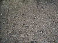 edited 4.webp