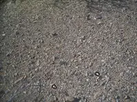 edited 5.webp