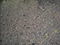 100_8397.webp