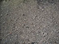 133.webp