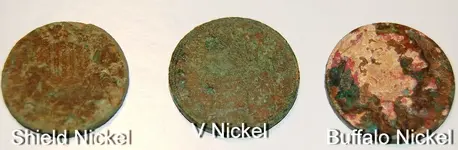 T - Net (1).webp