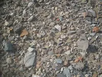 100_8399.webp
