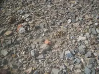 100_8398.webp