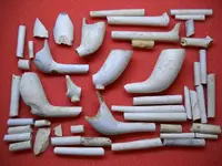 2-6-11 finds 006.webp